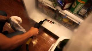 How to Steam Clean Refrigerator and Freezer  Daimer Steam Cleaners [upl. by Noguchi139]