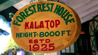 Kalatop Sanctuary। Forest Rest house। Dalhousie Oct 2021 [upl. by Hausner]