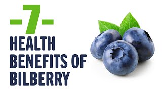 7 health benefits of bilberry  Interesting to know  Keep it in mind [upl. by Hiro]