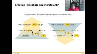 Sources of Energy ATP [upl. by Aramoix]