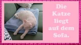 Deutsch lernen mit Katzen Möbel und Präpositionen [upl. by Kitty797]