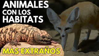 🌎🦎 ESTON SON Los 10 HÁBITATS Más Extraños Donde VIVEN los ANIMALES 🐙❄️🔥 [upl. by Anitselec]