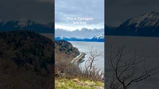 Turnagain arm Trail near Anchorage Alaska shorts alaska anchorage [upl. by Thornie]