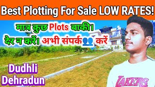 Prime Real Estate Investment Residential Plots in Dehradun for Sale [upl. by Mcmahon]