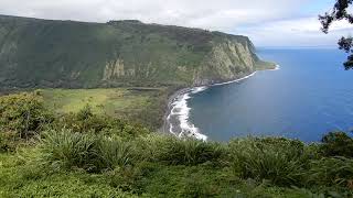 ワイピオ渓谷展望台（Waipiʻo Valley Lookout： 485546 Waipio Valley Rd Waimea HI 96743 アメリカ合衆国） DSCN0910 [upl. by Neil386]