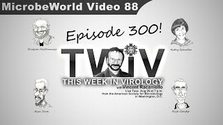 Podcast about Viruses Celebrates its 300th episode  TWiV 300 [upl. by Haimehen331]