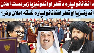 د افغانانو لپاره د قطر او اندونیزیا زبردست اعلان [upl. by Hort514]