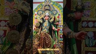 Sarbaria Pally Saba Samiti 2024 viralvideos prasantapalstudio jagadhatripuja joynagar [upl. by Perl]