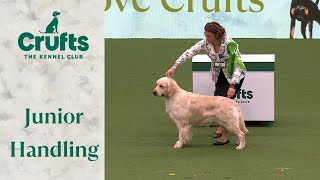 Cant get enough of them 🐶 International Junior Handling Competition Part 2  Crufts 2024 [upl. by Anahsirk582]