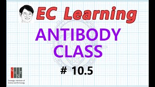 105 Engineering Immunity ANTIBODY CLASS [upl. by Cran249]