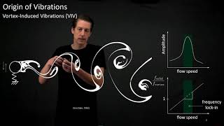 VortexInduced Vibration of Soft Corals for Improved Food Capture  SICB talk [upl. by Baggs]