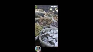 Rosalia Catud Vlog is liveMapagpalang Gabi sa lahatDried fish yummy [upl. by Nelra624]