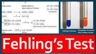 Fehlings Test Principle Procedure and Reagent Preparation [upl. by Longfellow]