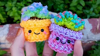 Loomigurumi Succulent Tutorial Rainbowloom [upl. by Bart]