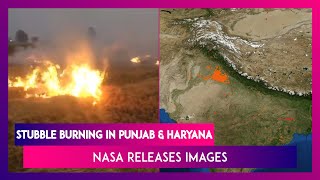 Delhi Air Quality NASA Images Show Spike In Stubble Burning In Punjab Haryana [upl. by Spaulding]