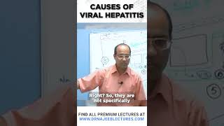 Causes of viral hepatitis drnajeeb shortvideo hepatitistreatment [upl. by Eiramait]