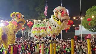 2024 Chinese New Year Celebration Lion Dance [upl. by Nicolis]