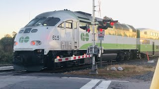 Metrolinx 615  Westbound GO Train Traveling On The Guelph Sub At Alma St Crossing [upl. by Chiou400]