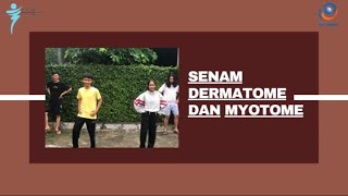 Senam Dermatome dan Myotome [upl. by Arnold]