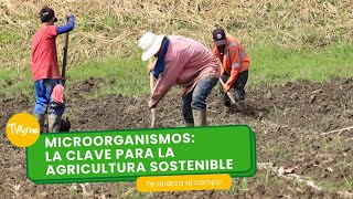 Microorganismos la clave para la agricultura sostenible  TvAgro por Juan Gonzalo Angel Restrepo [upl. by Vories382]