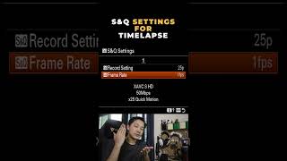 SampQ Settings for Timelapse in the Sony ZV E10 [upl. by Wiltshire617]