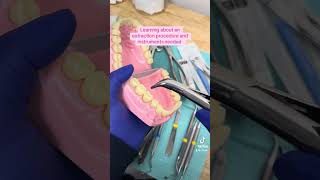 Overview of an extraction procedure dental dentalassistant dentist dentalhygiene [upl. by Fendig]