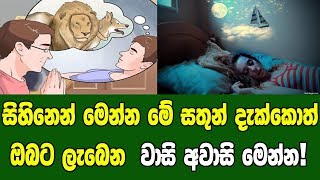 සිහිනෙන් මෙන්න මේ සතුන් දැක්කොත් ඔබට ලැබෙන වාසි අවාසි මෙන්න [upl. by Zawde677]