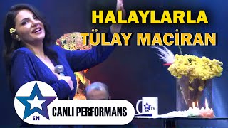 Halaylarla Tülay Maciran  Canlı Performans 2024 [upl. by Sibyl]