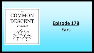 Episode 178  Ears [upl. by Salkcin708]