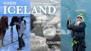 🇮🇸 2대자연 아이슬란드랑 맞짱 뜨고 왔다 참고로 내가 짐 도로폐쇄 여행필수코스 [upl. by Aram925]