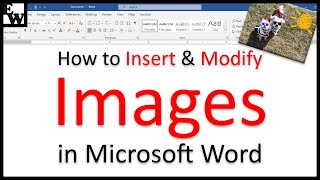 How to Insert and Modify Images in Microsoft Word [upl. by Ahsekram614]