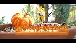 Schöne Herbstferien [upl. by Alegnasor435]