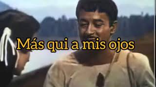 Te quiero mas que a mis ojos pedro infante karaoke [upl. by Alita]