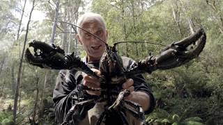 Il parvient à pêcher une écrevisse géante   Jeremy Wade en eaux troubles [upl. by O'Rourke]