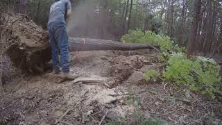 Excavator Clearing New Driveway by Andrew Camarata [upl. by Margo]