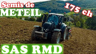 Semis de Méteil  Valtra T175 et Semoir Amazone 3m SAS RMD [upl. by Einhapets513]