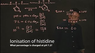 Ionisation of histidine [upl. by Aihsoek]