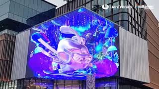 LianTronics 600sqm irregularshaped nakedeye 3D display shines at a shopping mall [upl. by Ahsii]