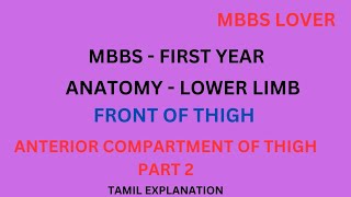 ANATOMY LOWER LIMB  ANTERIOR PART OF THIGH ORIGIN INSERTION NERVE SUPPLY ACTION  MBBS LOVER [upl. by Erlinna]