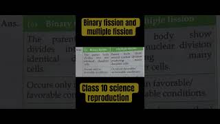 Difference between binary fission and multiple fission [upl. by Gilliette]