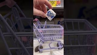 Mini Shopping At Walmart minis miniature minishopping [upl. by Gilman]