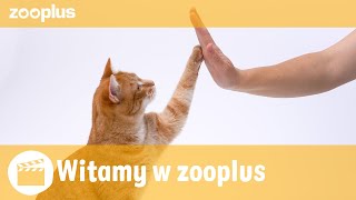 Witamy w zooplus [upl. by Cassius678]