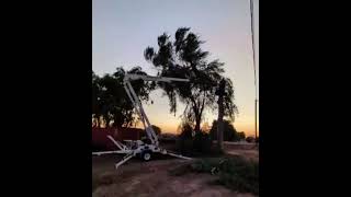 Topping eucalyptus tree [upl. by Nutsud859]