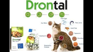 OBAT CACING KUCING DRONTAL [upl. by Cardew]