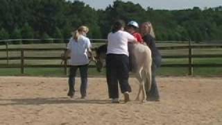 Is Hippotherapy right for your child [upl. by Bendix704]