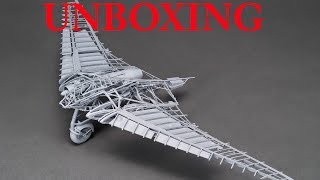 ZoukeiMura Horten Ho229 132 Flying Wing Unboxing amp Review [upl. by Ellednahs88]