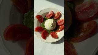 Burrata Masterpiece 🍅 🌱 Mozzarella Pesto Tomatoes amp Olive Oil Magic 🤩 pesto mozzarella [upl. by Wons]