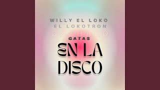 Gatas En La Disco [upl. by Ennaeerb709]