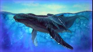 ♒ Relaxing Whales Song [upl. by Ahsuatal]