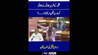 Zartaj Gul Wazir DGK Important Speech In National Assembly  Imran Khan  pti viralvideo shorts [upl. by Nuajed]